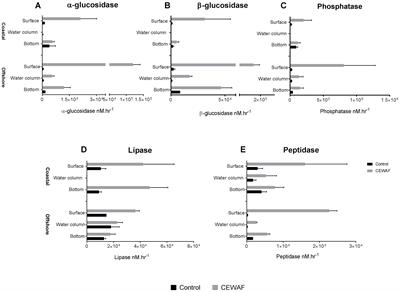 Extracellular Enzyme Activity Profile in a Chemically Enhanced Water Accommodated Fraction of Surrogate Oil: Toward Understanding Microbial Activities After the Deepwater Horizon Oil Spill